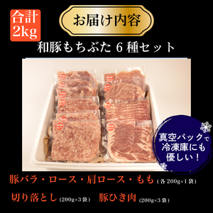 【6種】豚肉 バラエティセット 2kg 豚肉   katayama007_01