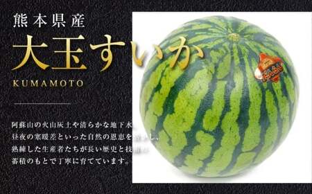 大玉すいか 1玉入り S以上 約2kg 【2026年5月上旬～2026年6月下旬発送予定】スイカ 甘いフルーツ 名産果物  果物 熊本県 