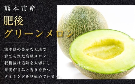 熊本市産 肥後グリーンメロン1玉４L以上 約2kg 【2026年4月下旬～2026年７月下旬発送予定】メロン 青肉 甘いフルーツ プレゼント 贈答 贈り物 果物 熊本県 