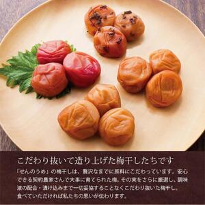 はちみつ梅干し 【A級品】紀州南高梅 はちみつ梅 500g 塩分7％ / 梅干し 梅干 うめぼし 南高梅 はちみつ梅 はちみつ梅干し 国産 梅 うめ ウメ 完熟 健康 ご飯のお供 贈り物 ギフト プレゼント お取り寄せ お茶うけ せんのうめ 和歌山県 田辺市 仙宝【spo006】