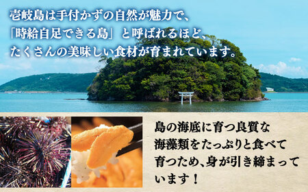 【全6回定期便】 生うに うにめしの素 セット 《壱岐市》[JZX016] うに セット