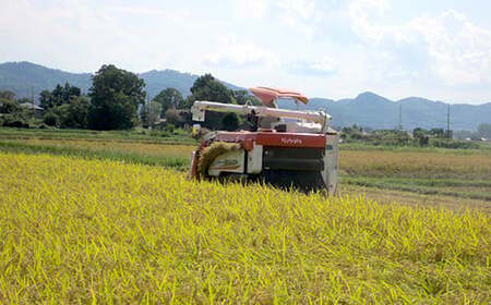 75-7K101新潟県長岡産特別栽培米こしいぶき10kg（5kg×2袋）【2026年5月発送】