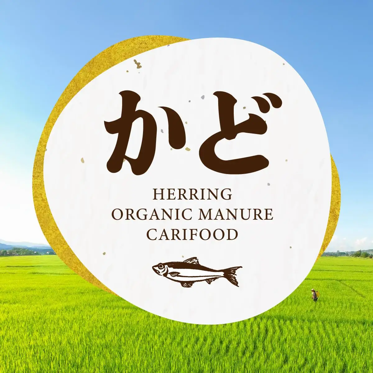 【北海道産お米】ななつぼし5kg　（カド肥料使用）