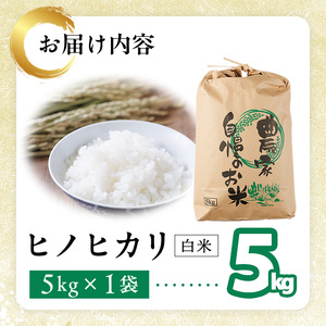 ヒノヒカリ 白米 (5kg) お米 ごはん ご飯 ひのひかり 数量限定 【118300300】【真田　定二】