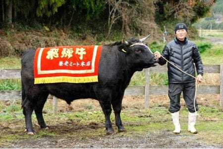 お好きなカット可能! 飛騨牛 サーロインブロック 5kg【D-38】