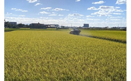 令和7年産 つがる市産 まっしぐら 白米 5kg [0937]