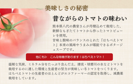 トマトポタージュ 10食セット《熊本県 はちべえトマト 使用》 [2517]