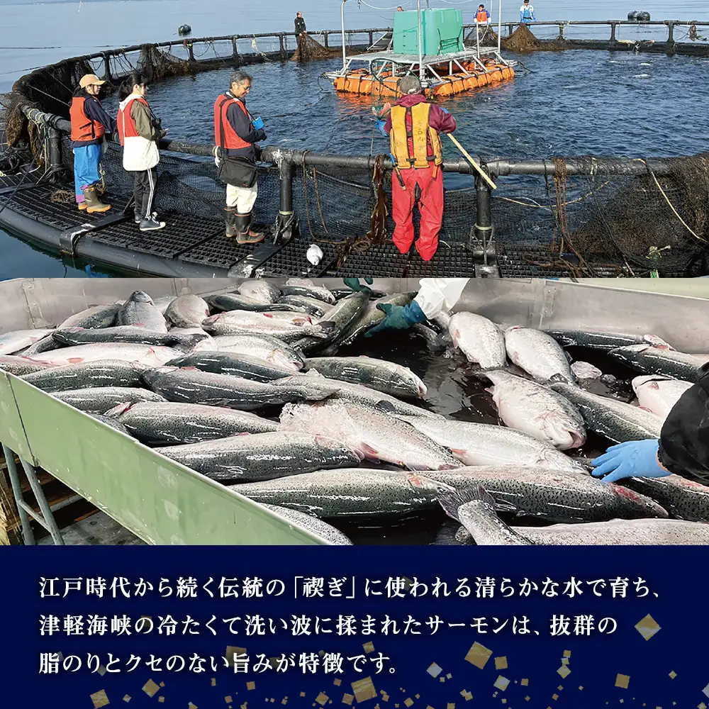 【三印 三浦水産株式会社】木古内町産サーモン 小分け 約1kg