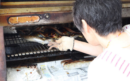 焼き鯖棒寿司 4本入り [AICQ015]