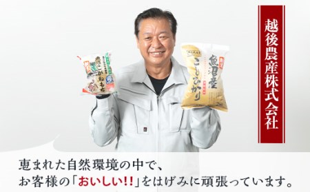 C2-R01A新潟県魚沼産こがねもち（長岡川口地域）2.4kg（600g×4袋）