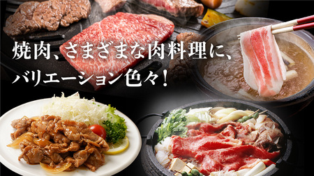 【訳あり】 肉料理のタレ おまかせ 5本 詰め合わせ [AH059tu]