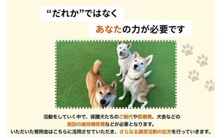 【活動応援】那須ハイ＆りんどう湖　SOS保護犬活動　オリジナルステッカー(1)〔A-56〕| 保護犬 ステッカー シール 日用品 雑貨 支援 動物愛護 応援 地域応援 愛犬 愛犬家 動物 ペット 社会貢献 保護活動 那須 栃木県 那須町