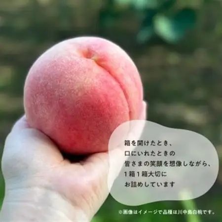 【特選品】旬採り桃 5-7玉 (岡山県産) ギフトにおすすめ!【配送不可地域：離島】【1696626】