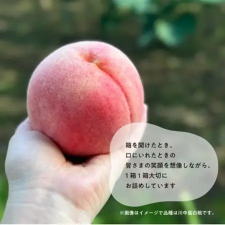「硬めの桃好きさん」におすすめ! 硬め桃 上級品 5-7玉 (岡山県産)【配送不可地域：離島】【1696634】