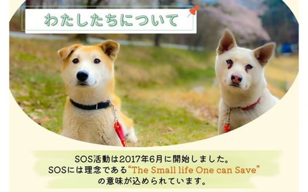 那須ハイ＆りんどう湖　SOS保護犬活動　お礼品なし〔A-57〕｜保護犬 支援 動物愛護 応援 地域応援 愛犬 愛犬家 動物 ペット 社会貢献 保護活動 那須 栃木県 那須町