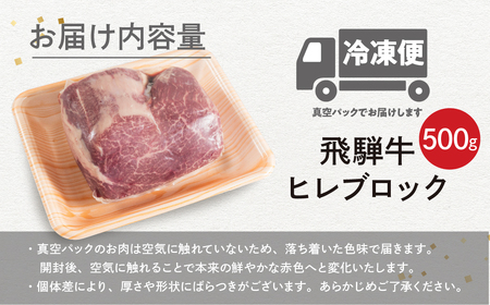 【2027年3月発送】飛騨牛 ヒレブロック500g ヒレ肉