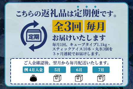 定期便 (3回定期便) さがん氷 バラエティセット 【キューブタイプ1.1kg・スティックアイス10本・丸氷3個】D-279 藤津製氷 こおり 氷 ロック アイス 佐賀 鹿島 九州