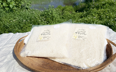 米 【4.5kg】 令和7年産 ササシグレ 長野県産 【やよい農園】7-88