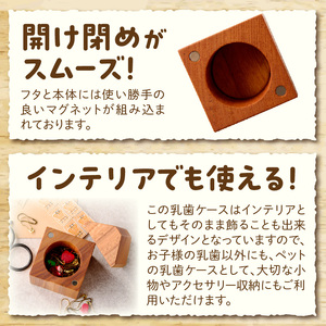 おうち型 乳歯ケース 木製 乳歯入れ Teeth House［087Y11］ 成長記念 子ども用 メモリアルグッズ 出産祝い 入学祝い ナチュラルデザイン ハンドメイド インテリア雑貨 小牧市 送料無料