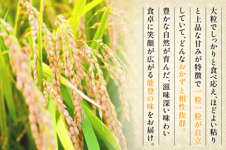 米 令和7年産 ひゃくまん穀 精米 10kg [能登ファーム志賀 石川県 志賀町 CH4004]