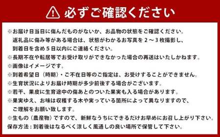 【年3回定期便】熊本おすすめフルーツ定期便C（マンゴー＆巨峰・シャインマスカット・メロン）【2026年7月上旬発送開始】 マンゴー 巨峰 シャインマスカット メロン ぶどう 葡萄 ブドウ アールスメロン 1玉 約1kg 約1.2kg  2玉 フルーツ 果物 くだもの 熊本県産 国産 定期便 定期 3回 果実 果肉