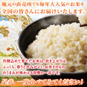 先行予約 令和8年産 特別栽培農産物認証 コシヒカリ 玄米 ５kg 特栽米 ネオニコフリー 減農薬 減化学肥料 安心 安全 こしひかり 白米 弁当 おにぎり オニギリ 有機肥料 特別栽培米 エコ農産物 茨城県産米【2026年9月より順次発送】(86-02)
