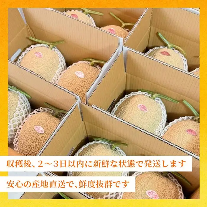 【2026年冬先行予約】宮古島産 赤肉メロン 2玉 【農家直送】 ＜とみお農園＞（TN02）