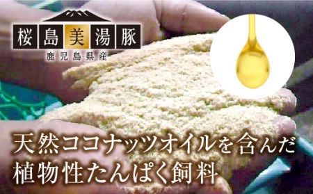 B2-4506／桜島美湯豚　ファミリー焼肉セット