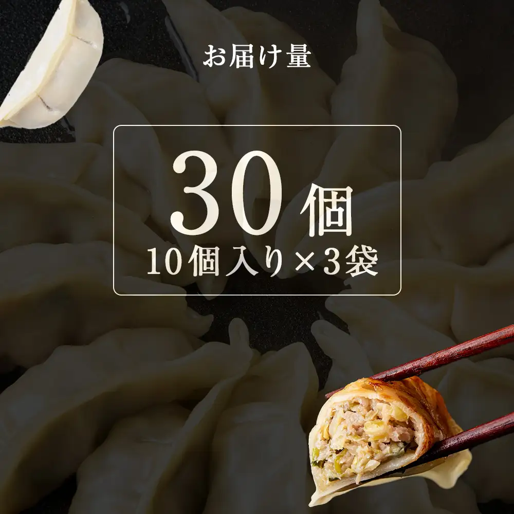 知内ニラ餃子（10個入り）3袋【知内観光協会】