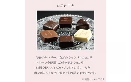コーヒーポート芦屋浜 [ブレンド2種各250g] スペシャルティコーヒー【豆】＆cherry.c  プレミアム ショコラ アソート15個