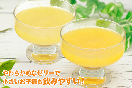 AJ235 金太洋 つぶみかんゼリー つぶ甘夏みかんゼリー 150gパウチ×各1個 [株式会社島原観光ビューロー 長崎県 島原市] 