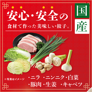 旨味たっぷり！本場プロの中華料理人が作る みとしゃんジャンボ餃子 20個（CS-4）