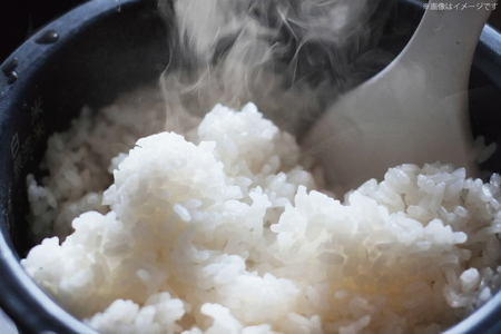 米 令和7年産 里山のこしひかり ほくの里 2kg ×2袋 計4kg [JA石川かほく 石川県 津幡町 tb17nir90049]