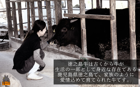 南原（はいばる）牧場 幻の徳之島牛 リブローススライス 1000g ( 厳選 ロース プレミアム 高品質 鹿児島黒毛和牛 黒毛和牛 牛肉 万能 料理 徳之島 奄美 鹿児島 すき焼き しゃぶしゃぶ 和牛ギャング )