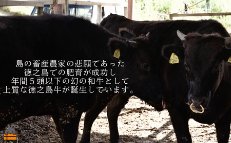 南原（はいばる）牧場 幻の徳之島牛 カルビ焼肉 600g ( 厳選 焼肉 プレミアム 高品質 鹿児島黒毛和牛 黒毛和牛 牛肉 万能 料理 徳之島 奄美 鹿児島 和牛ギャング )