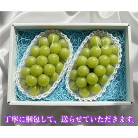小さな農家の丁寧シャインマスカット計1kg2房入り【配送不可地域：離島】【1699611】