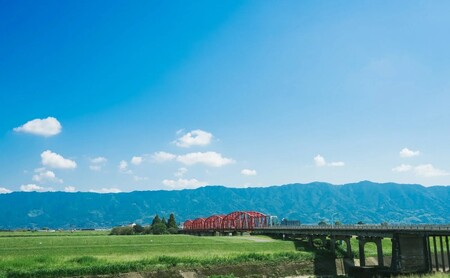 定期便 12回 吉野家 豚汁 20袋 フリーズドライ とん汁 常温保存 食品 豚肉 インスタント 常温 非常食 保存食 災害 防災 備蓄 ローリングストック 非常用 備蓄用