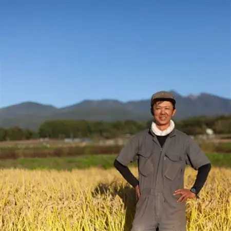 【令和7年産】ミルキークイーン　精米　5kg【1697012】