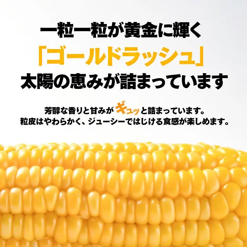 【先行予約】朝どれスイートコーン６kgとイートコーンドレッシングセット 2026年発送＜35-3a＞★