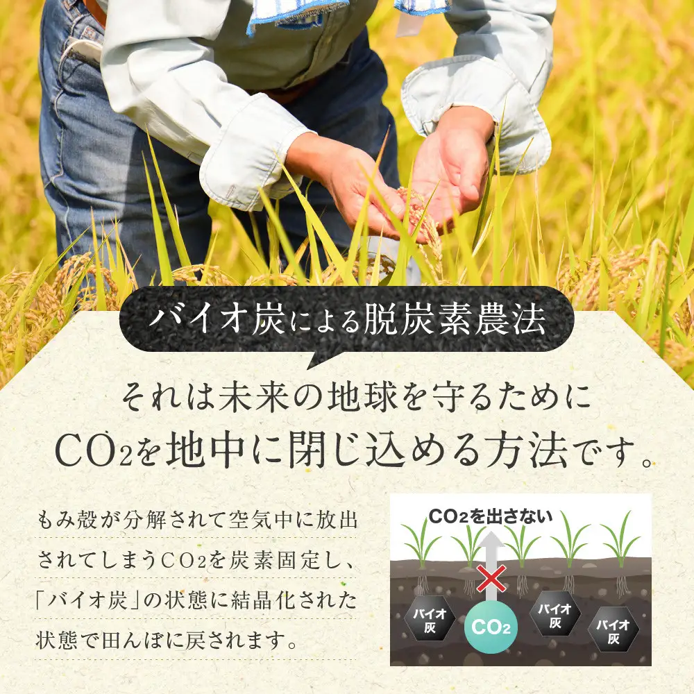 【令和7年産】つや姫 5kg×1 CO2削減 環境配慮米｜7年産米 つや姫 ブランド米 銘柄米 SDG’s 宮城県角田市産 米 コメ 白米 精米