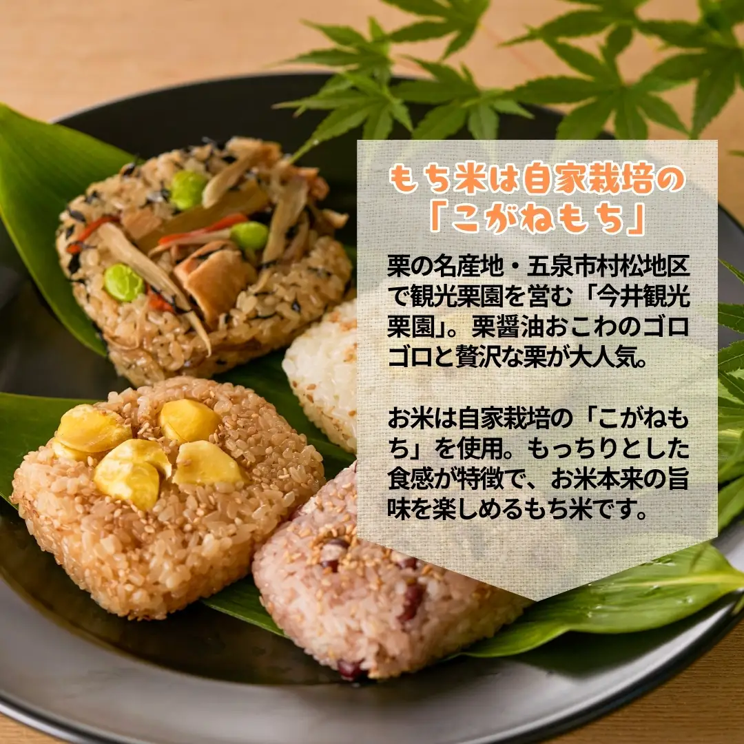 栗屋の彦べえのおこわ 5種食べ比べセット 15個入（化粧箱なし） | 新潟県 おこわ