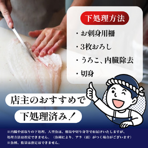 鮮魚 冷蔵 クール便「 開けたらすぐ食べられる下処理済み 海産物 2～3人前 セット 」さとう鮮魚店【 パック 詰め合わせ 海鮮セット 鮮魚ボックス 海鮮 海の幸 魚介 魚介類 刺身 切り身  秋田県 にかほ 】