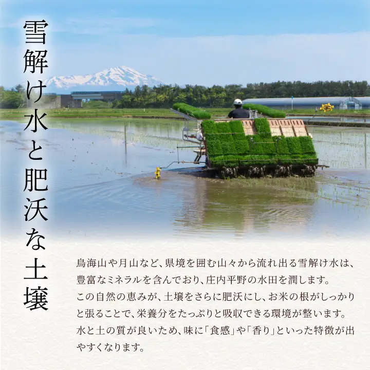庄内米味わいセット　（はえぬき5kg・のっけて食べるあつみかぶ・だだちゃ豆ごはんの素・四合わせ塩）　庄内観光物産館
