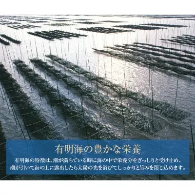 Z26-86 有明海産 焼き海苔 ボトル4本（10切100枚×4本 計400枚)定期便(毎月×6回) 焼き海苔