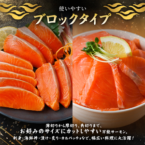 生食用 サーモン ブロック(計750g・250g×3P) 鮭 小分け 真空 パック 冷凍 刺身 シャケ サケ 魚 魚介 【AW-99】【丸正水産】