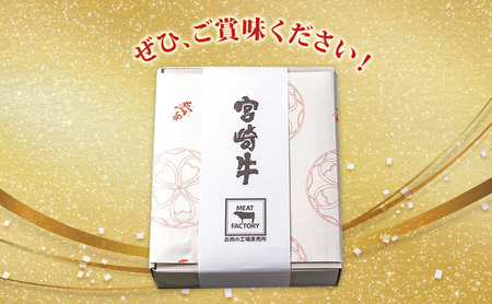 ハンバーグ 定期便 6ヶ月 A5ランク 宮崎牛 180g 8個 セット マ・メゾン 国産 工場直売 惣菜 食品