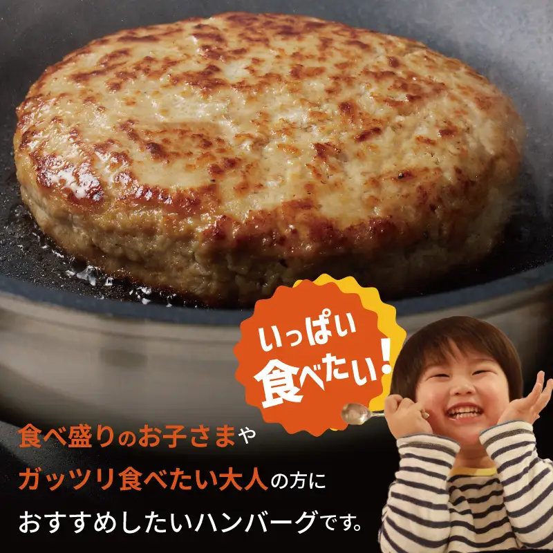 【定期便】黒毛和牛入り BIGハンバーグ（200g×12個）全6回 