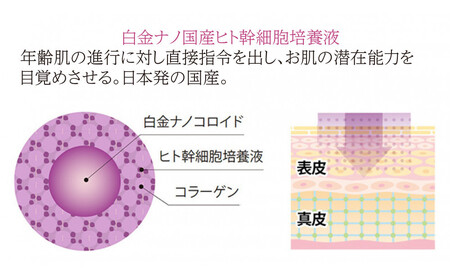 ストレピア　プラチナリフティクリームセット APA0003