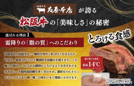 松阪牛サーロインステーキ約200g×2枚　NT13