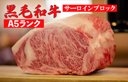 【定期便3回】黒毛和牛 A5 ブロック肉 食べ比べセット 3kg モモ・ヒレ・サーロイン
